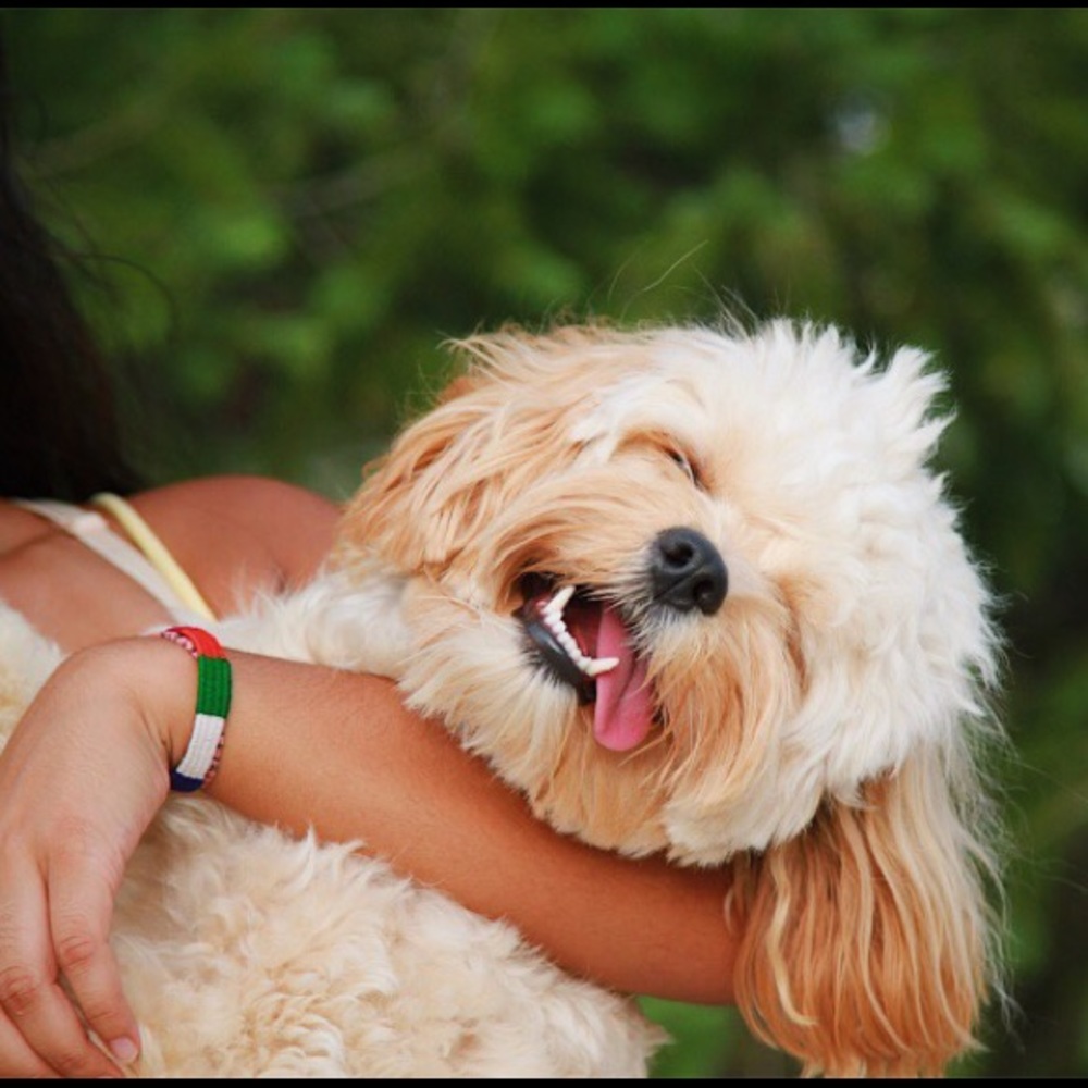 Meet your Posher, Vidhi